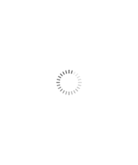 SVM351